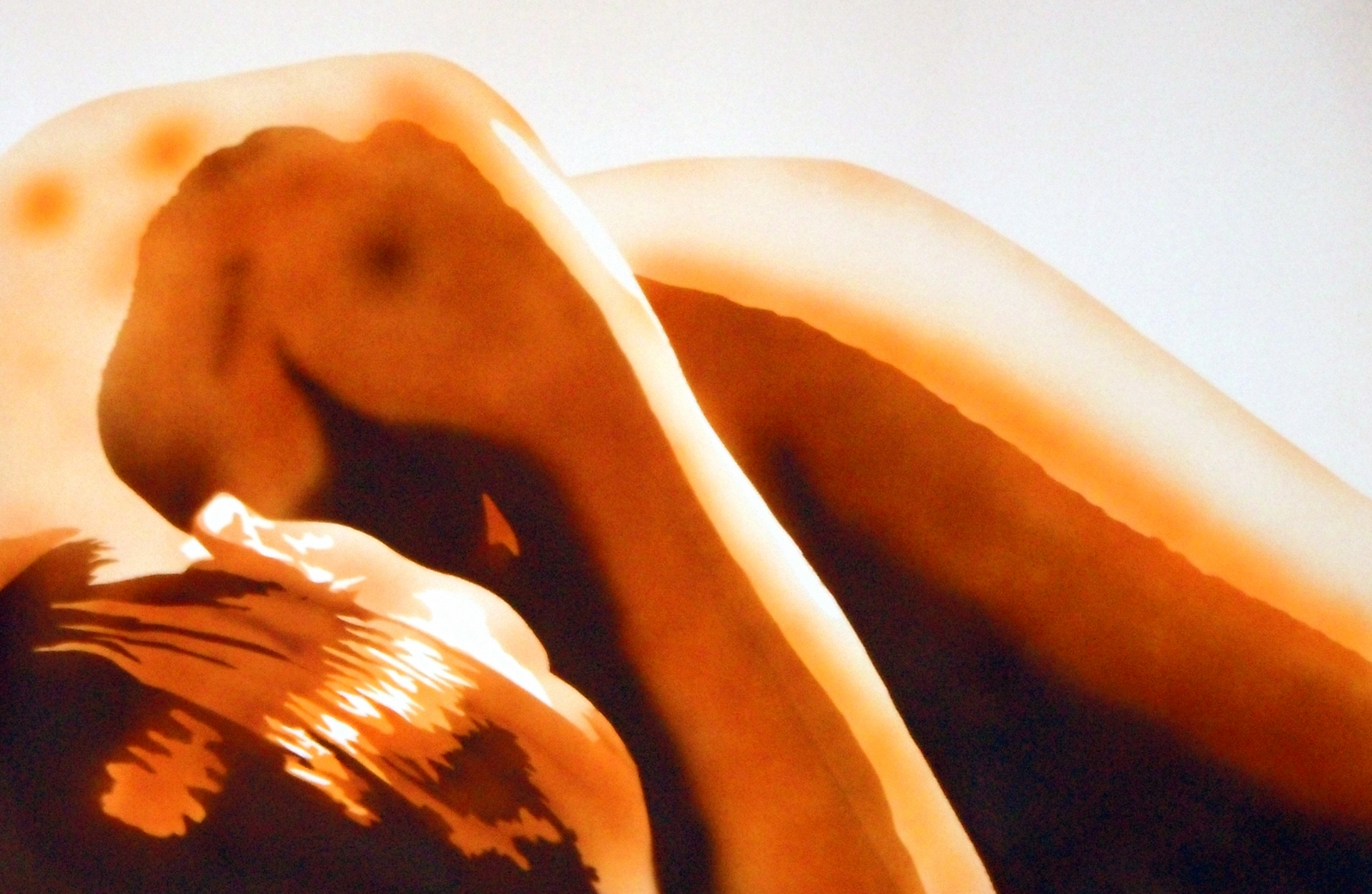 nudo, 2013, 120x80 cm, coll.privata